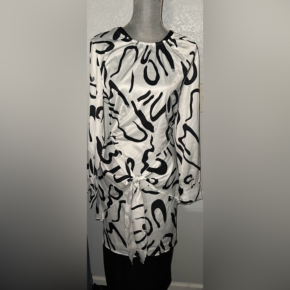 Pretty Garden Women’s Spring Satin Dress Long Sleeve Tie Waist - Picture 2 of 6